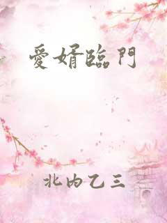 爱婿临门