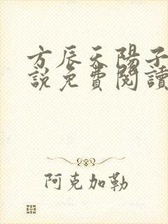 方辰天阳子的小说免费阅读