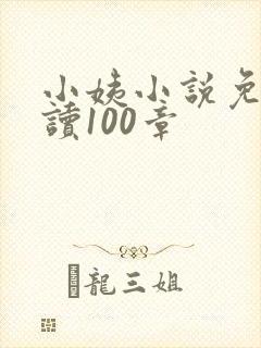 小姨小说免费阅读100章