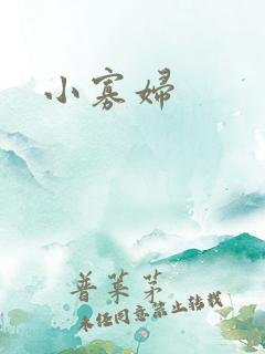小寡妇