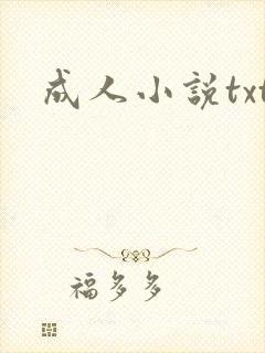 成人小说txt