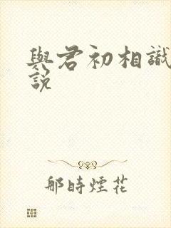 与君初相识 小说