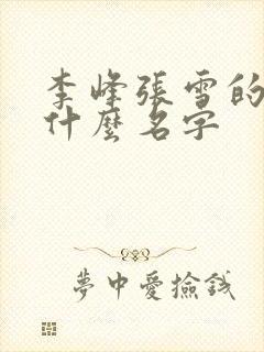 李峰张雪的书叫什么名字