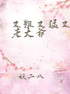 又粗又猛又大爽老大爷