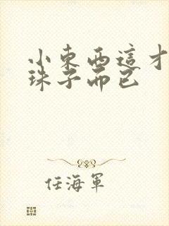 小东西这才一颗珠子而已