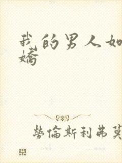 我的男人如此多娇