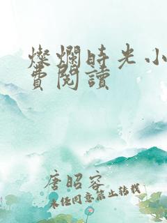 灿烂时光小说免费阅读