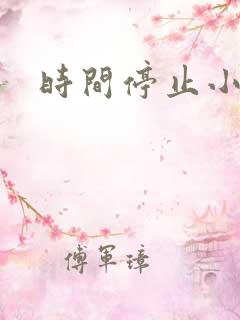 时间停止小说
