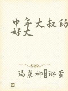 中年大叔的包包好大