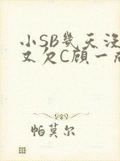 小SB几天没做又欠C顾一成视频