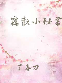 窃欢小秘书