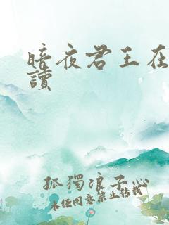 暗夜君王在线阅读