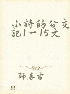 小诗的公交车日记1一15文