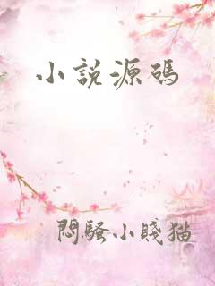 小说源码