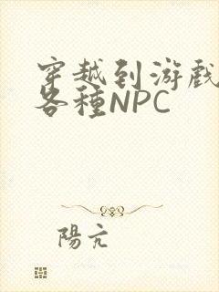 穿越到游戏里和各种NPC