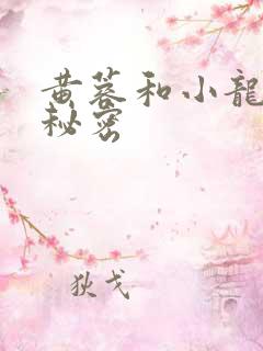 黄蓉和小龙女的秘密