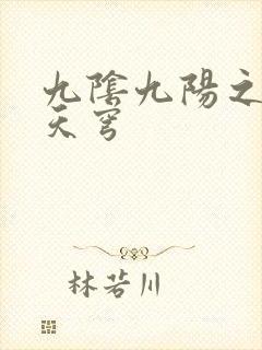 九阴九阳之武战天穹