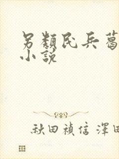 另类民兵葛二蛋小说