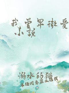 我曾卑微爱过你 小说
