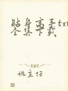 贴身高手txt全集下载