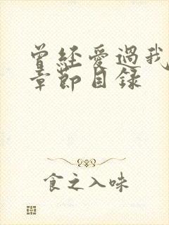 曾经爱过我刘念章节目录