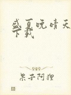 盛夏晚晴天全集下载