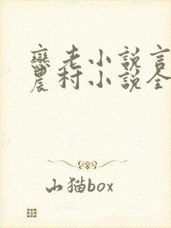 恋老小说言情网农村小说全文阅读