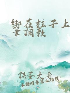 绑在柱子上用毛笔调教