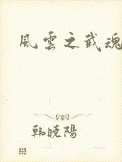 风云之武魂