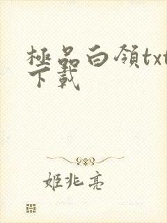 极品白领txt下载