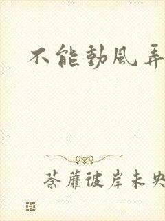 不能动风弄