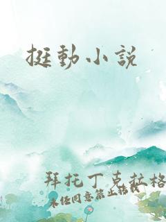 挺动小说