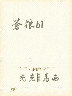 苍狼bl