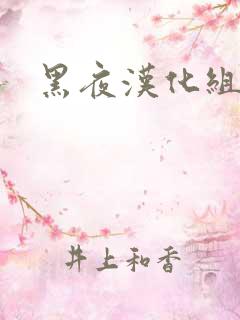 黑夜汉化组