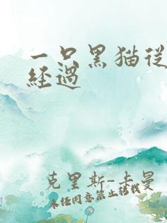 一只黑猫从眼前经过