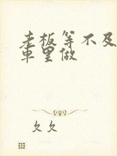 老板等不及了在车里做