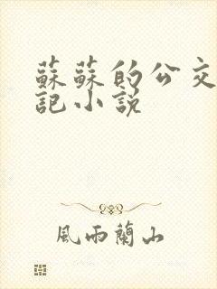 苏苏的公交车日记小说