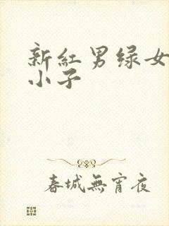 新红男绿女之坏小子