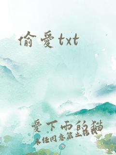 偷爱txt