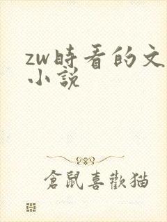 zw时看的文案小说