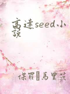 高达seed小说