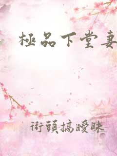 极品下堂妻