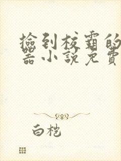 捡到校霸的遥控器小说免费阅读无弹窗