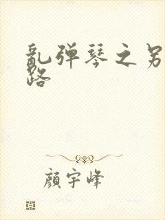 乱弹琴之另一条路