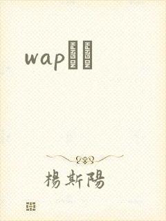 wapС˵