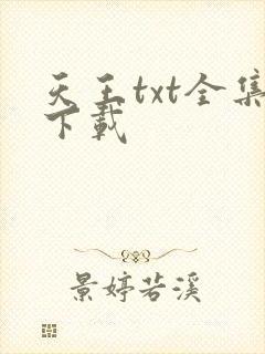 天王txt全集下载