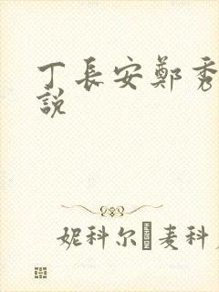 丁长安郑秀兰小说