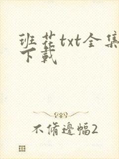 班花txt全集下载