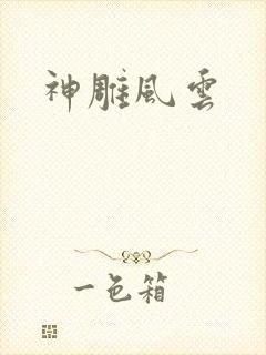 神雕风云