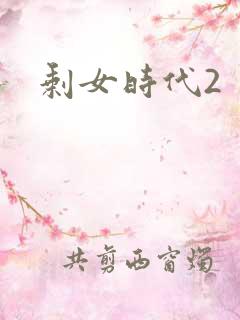 剩女时代2
